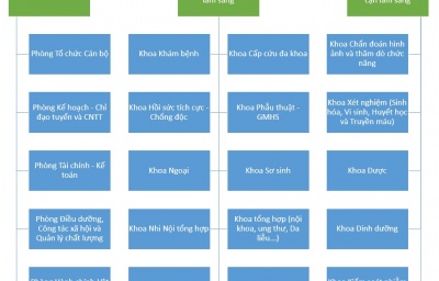 Sơ đồ tổ chức